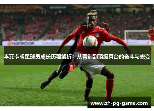 本菲卡明星球员成长历程解析：从青训到顶级舞台的奋斗与蜕变