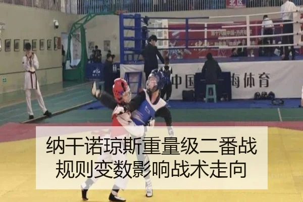 纳干诺琼斯重量级二番战 规则变数影响战术走向