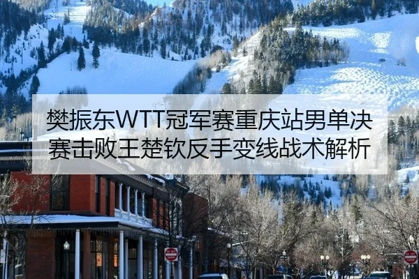樊振东WTT冠军赛重庆站男单决赛击败王楚钦反手变线战术解析
