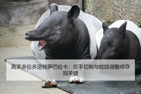 高芙多伦多逆转萨巴伦卡：反手切削与线路调整成夺冠关键
